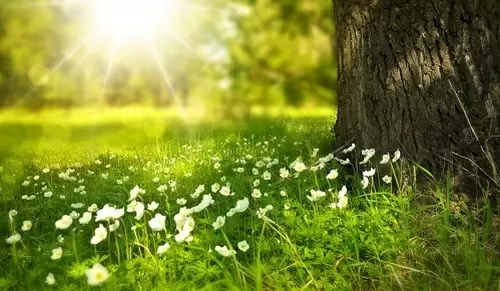 ¿Cómo puede ayudarnos la naturaleza a vivir más tiempo? ¿Cómo puede ayudarnos la naturaleza a vivir más tiempo?