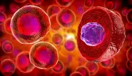 Agotamiento de las células madre como causa de envejecimiento