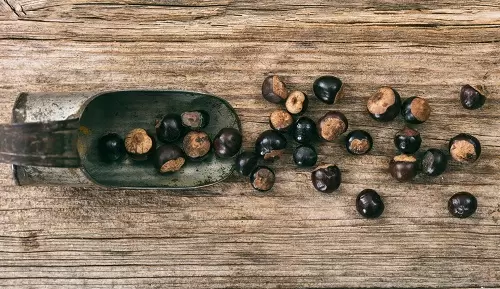 ¿Qué es y para qué sirve el guaraná?
