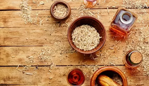Beneficios del eleuterococo para la salud Beneficios del eleuterococo para la salud