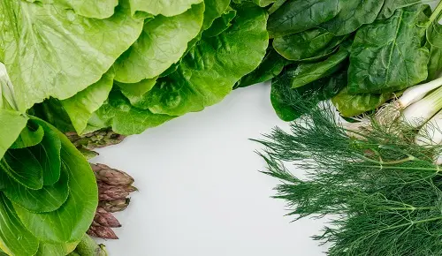 Alimentos que ayudan a mantener una mente joven y activa