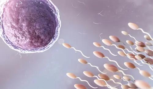 La calidad del esperma influye en la longevidad de los hombres