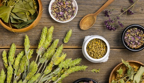 Soluciones naturales para la diabetes: el potencial terapéutico de las plantas y los hongos Soluciones naturales para la diabetes: el potencial terapéutico de las plantas y los hongos