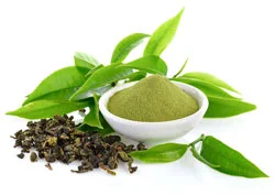 Epigallocatechin Gallate (EGCG)